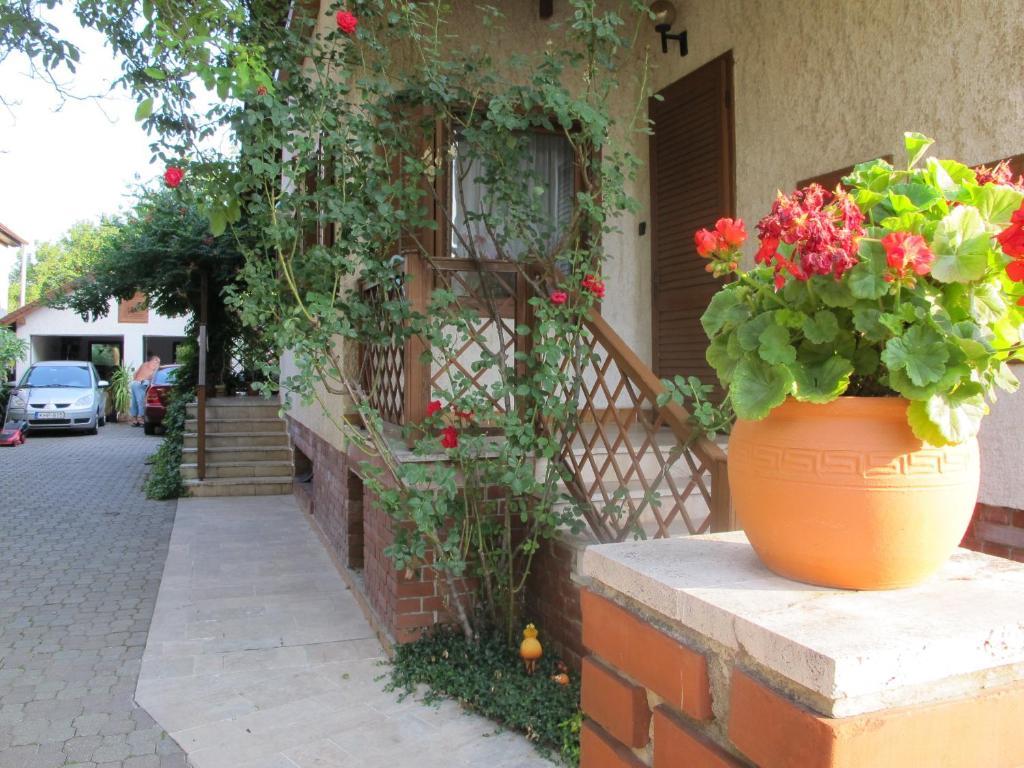 Foki Apartman Sopron Luaran gambar